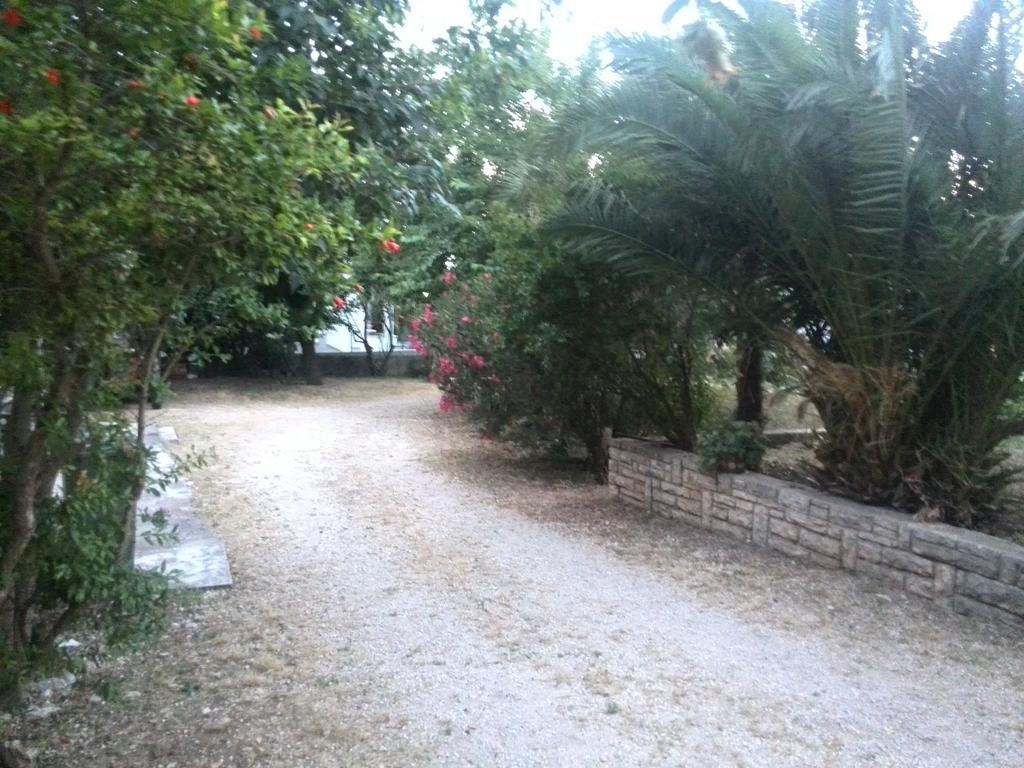 Apartment Tome Biograd na Moru Szoba fotó